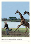 #151 - Janne Schaffer jagas av giraffer - A3 Poster